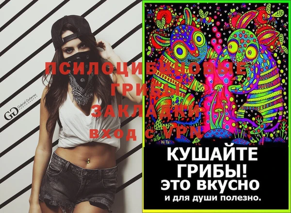 спайс Алексин