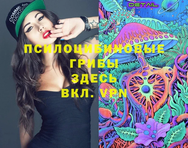 jwh Пересвет