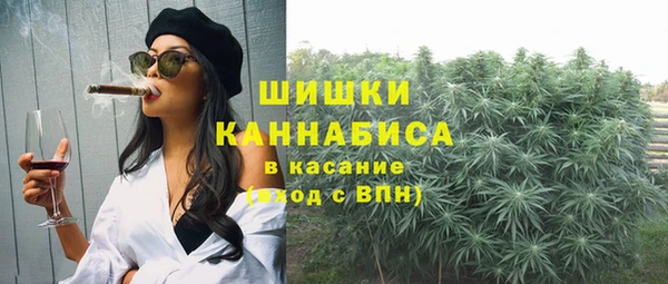 спайс Алексин