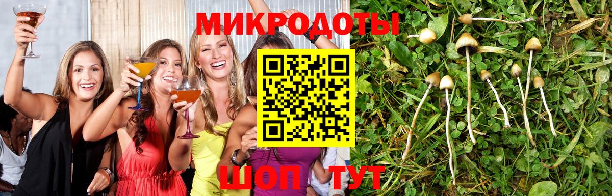 Амурск  Псилоцибиновые грибы мухоморы  Галлюциногенные грибы Cubensis  Вход с VPN 